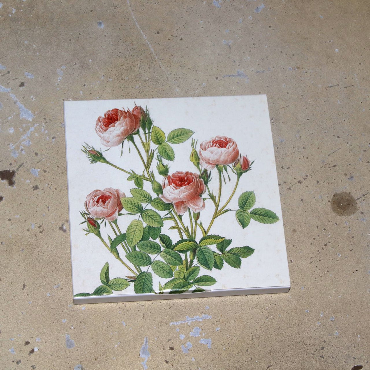 ルドュテ ローズ ノートカード ウォレット - Redoute Rose Notecard Wallet