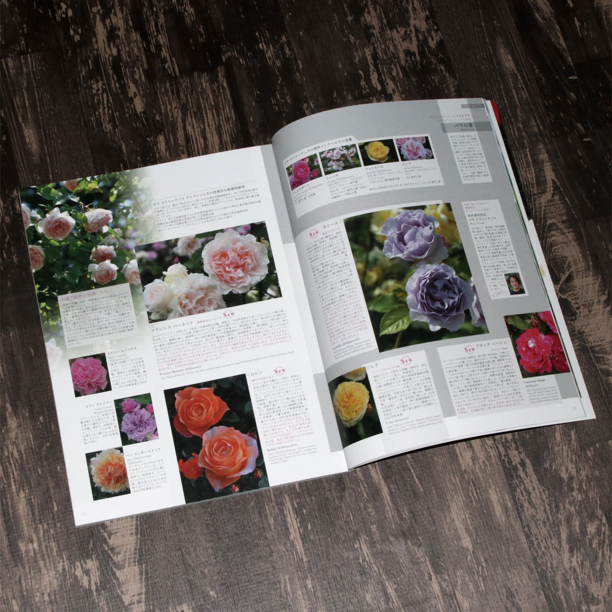 New Roses 2021 vol.30 David Austin Roses Japan