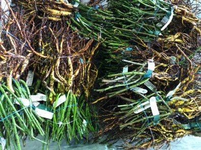 2019/02/20 ブログ： 冬の仕事