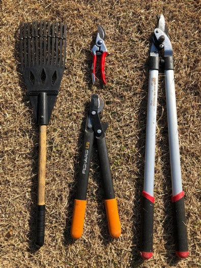 2019/02/27 ブログ： 冬剪定　その１