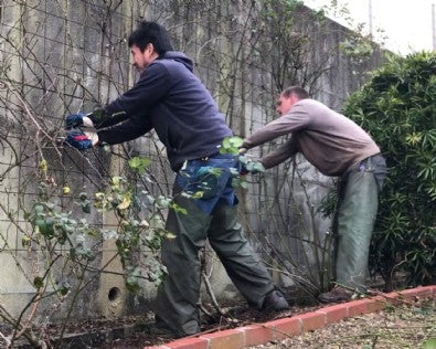 2019/03/07 ブログ： 冬剪定　その2