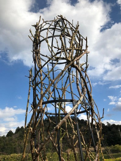 2019/03/22: 2019年3月のガーデンv