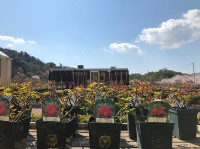 2019/04/09 ブログ： フレッシュポット