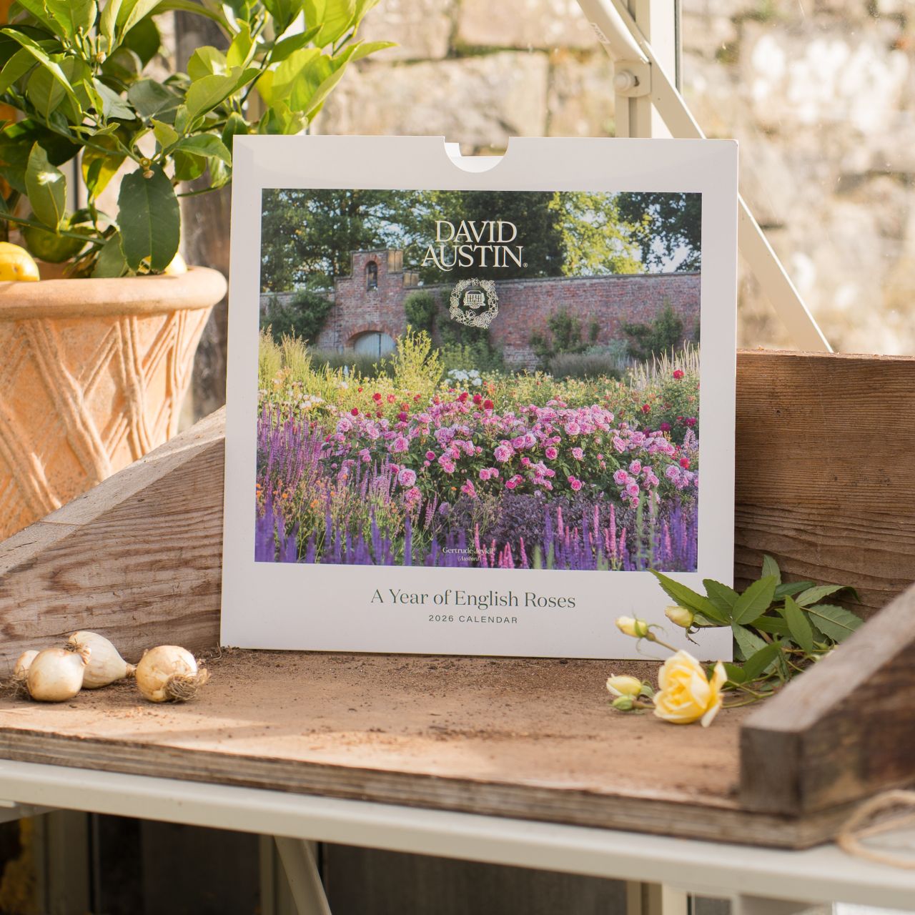 デビッド・オースチンのイングリッシュローズガーデンとプランツ