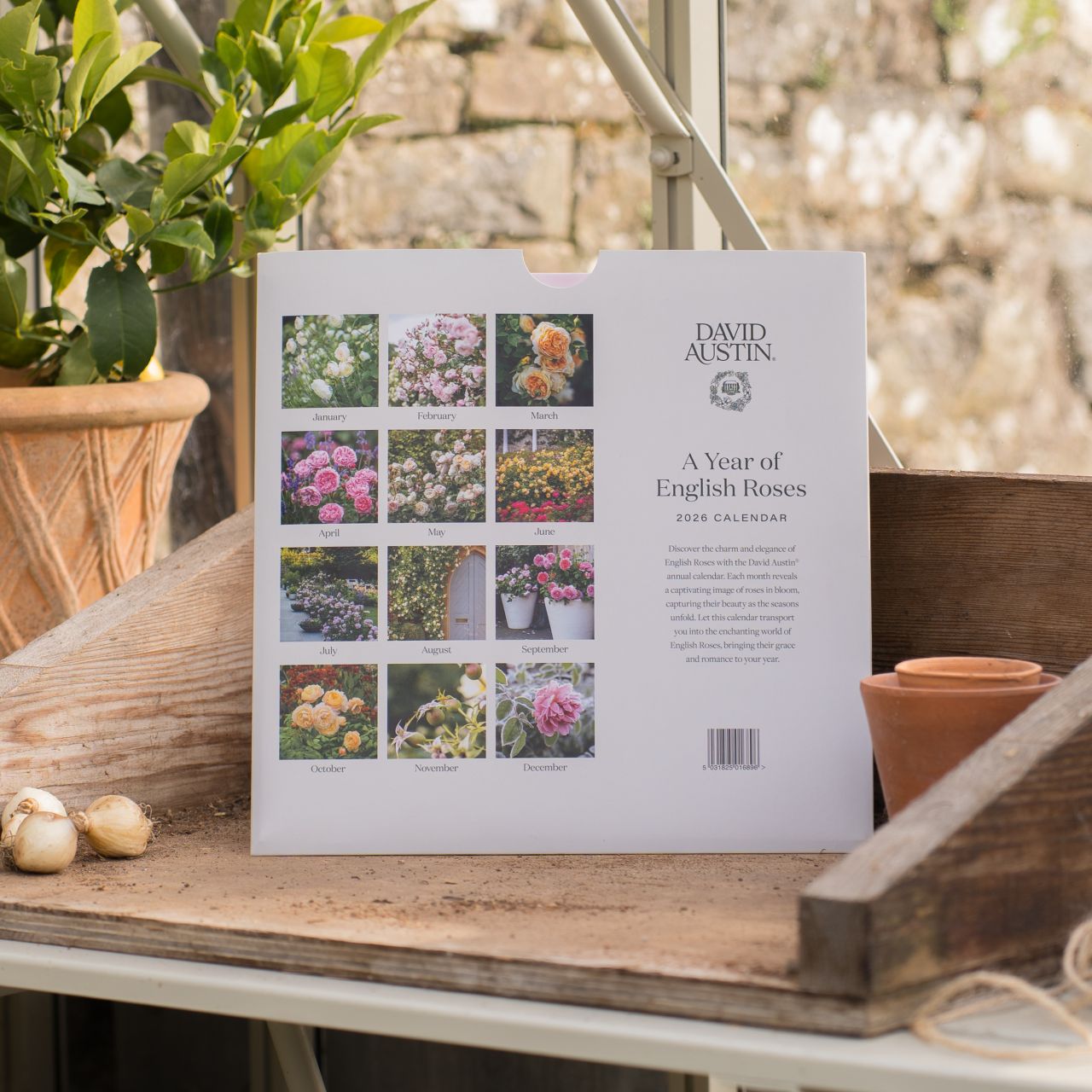 イングリッシュローズ・カレンダー 2026 - Wall Calendar 2026