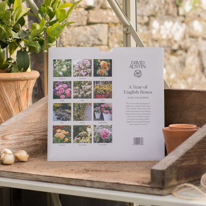 イングリッシュローズ・カレンダー 2026 - Wall Calendar 2026
