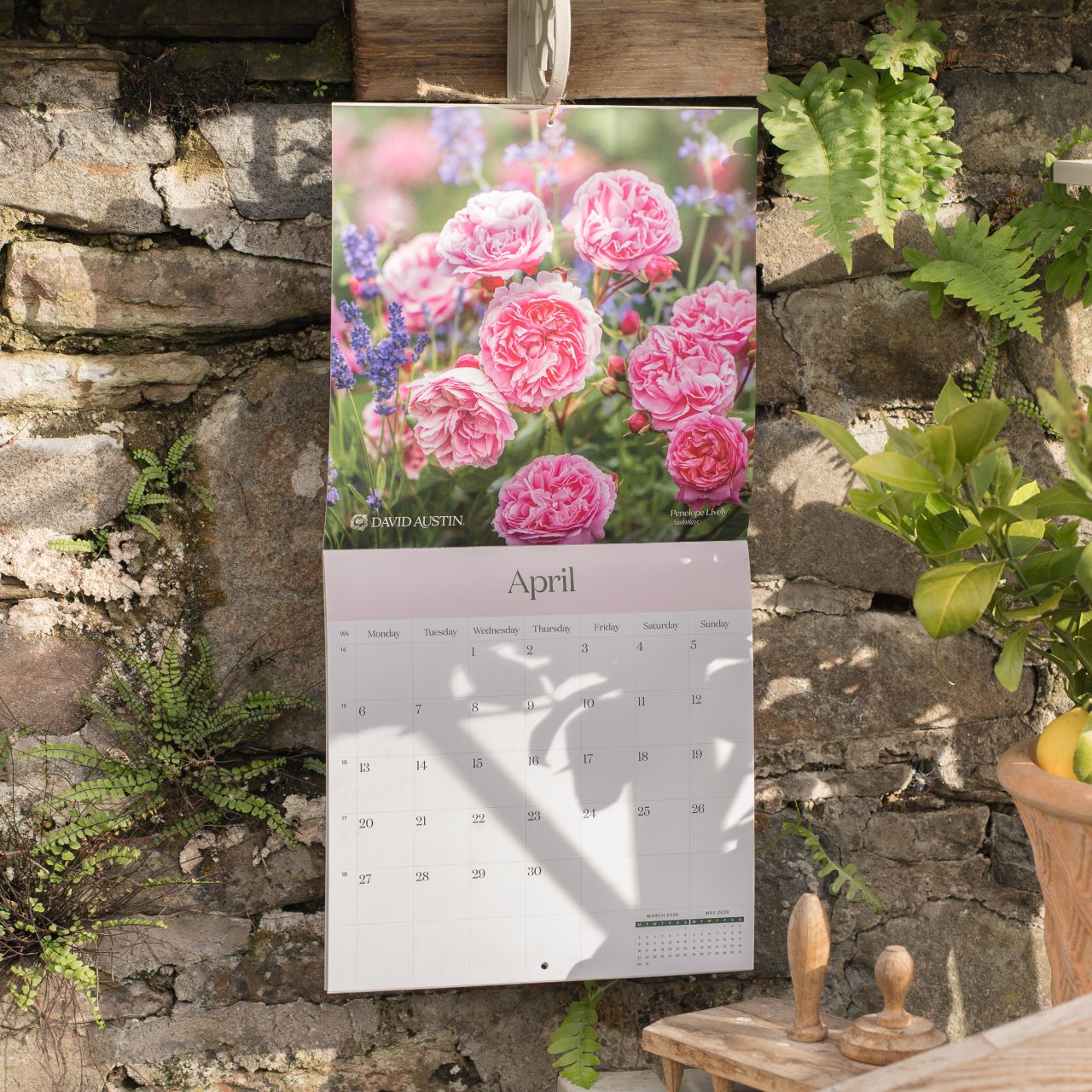 イングリッシュローズ・カレンダー 2026 - Wall Calendar 2026