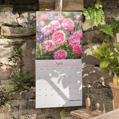 イングリッシュローズ・カレンダー 2026 - Wall Calendar 2026