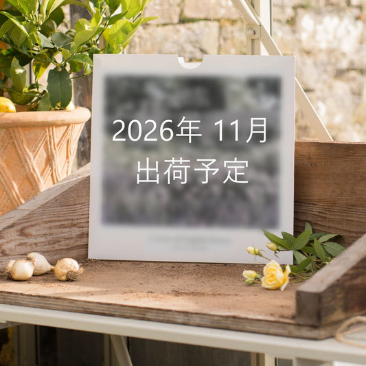 イングリッシュローズ・カレンダー 2027 - Wall Calendar 2027