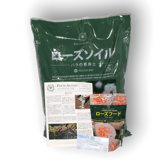 デビッド・オースチンイングリッシュローズクラブ 1年間（SET D/ベーシックセット） - English Rose Club Membership 1YR - Set D(Basic Set)