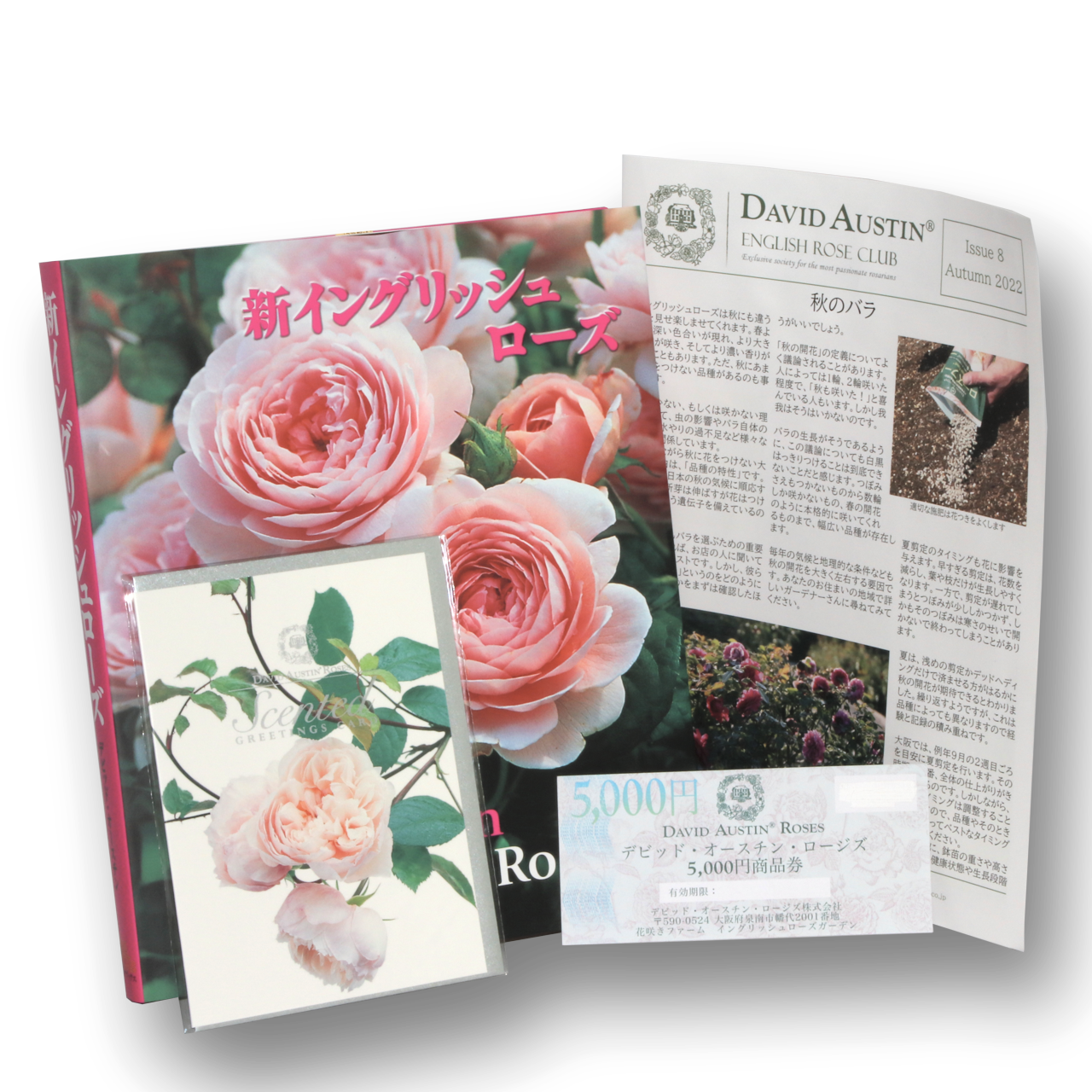 デビッド・オースチンイングリッシュローズクラブ 1年間(SET C/リラクシングセット) - David Austin English Rose Club Membership 1YR SET C(Relaxing Set)