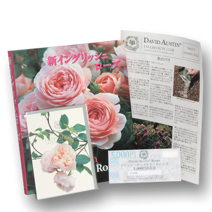 デビッド・オースチンイングリッシュローズクラブ 1年間(SET C/リラクシングセット) - David Austin English Rose Club Membership 1YR SET C(Relaxing Set)