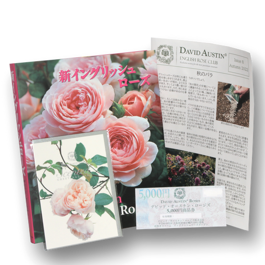 デビッド・オースチンイングリッシュローズクラブ 1年間(SET C/リラクシングセット) - David Austin English Rose Club Membership 1YR SET C(Relaxing Set)