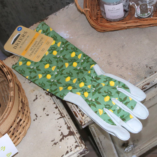 ガーデングローブ（シチリアレモン） - Sicilian lemon gauntlet medium