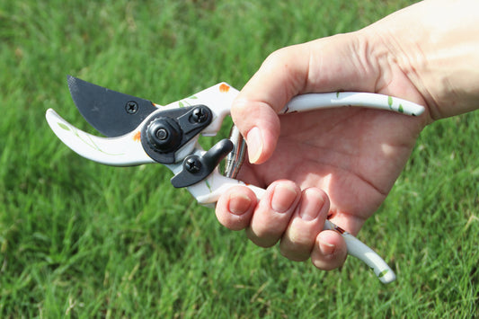 プリント剪定ばさみ（ミツバチ）- BEE ALL OVER PRINT SECATEUR