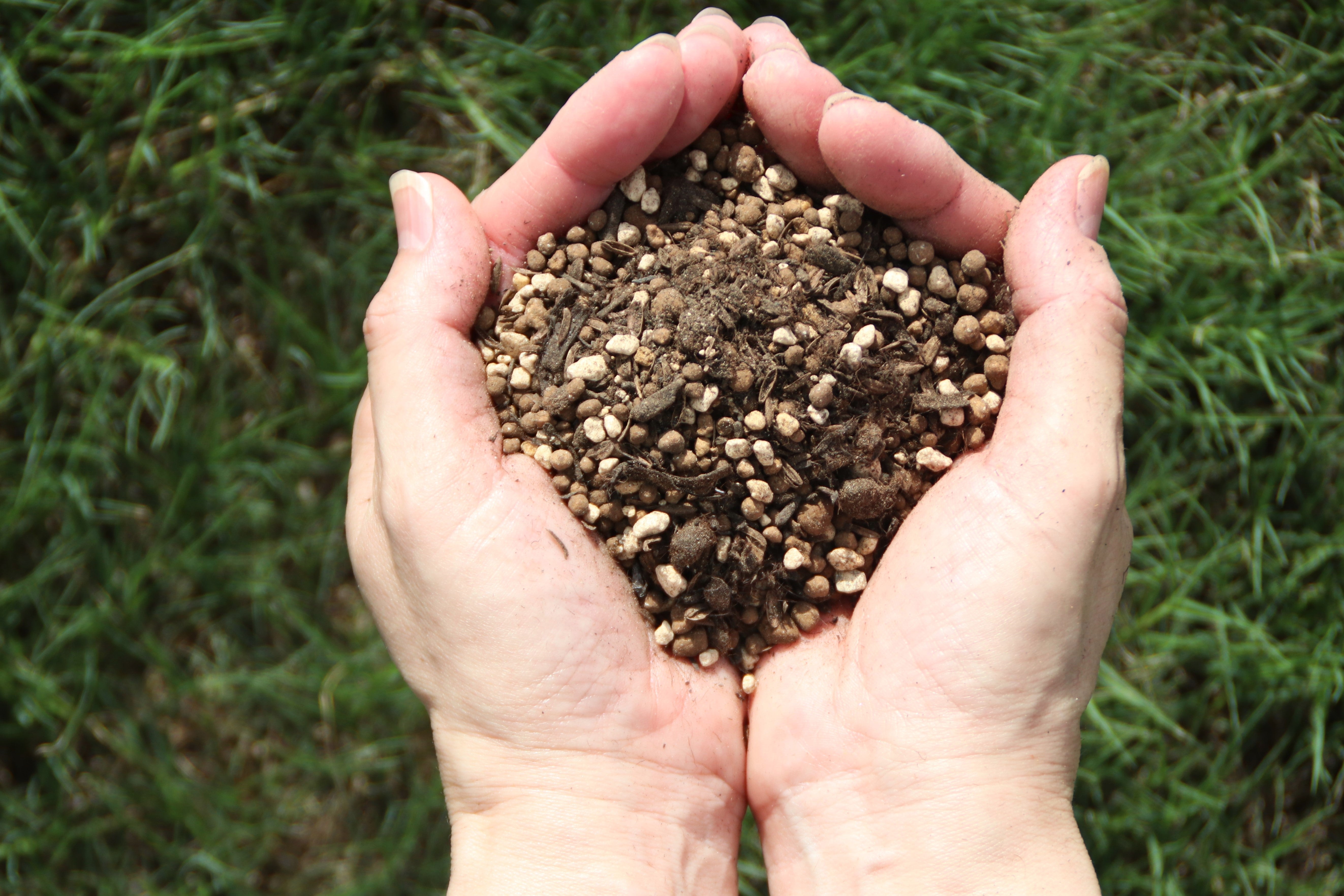 プロトリーフローズソイル 10L - Rose Soil 10L – David Austin Roses