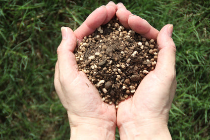 植え込み用キット - Rose Planting Kit