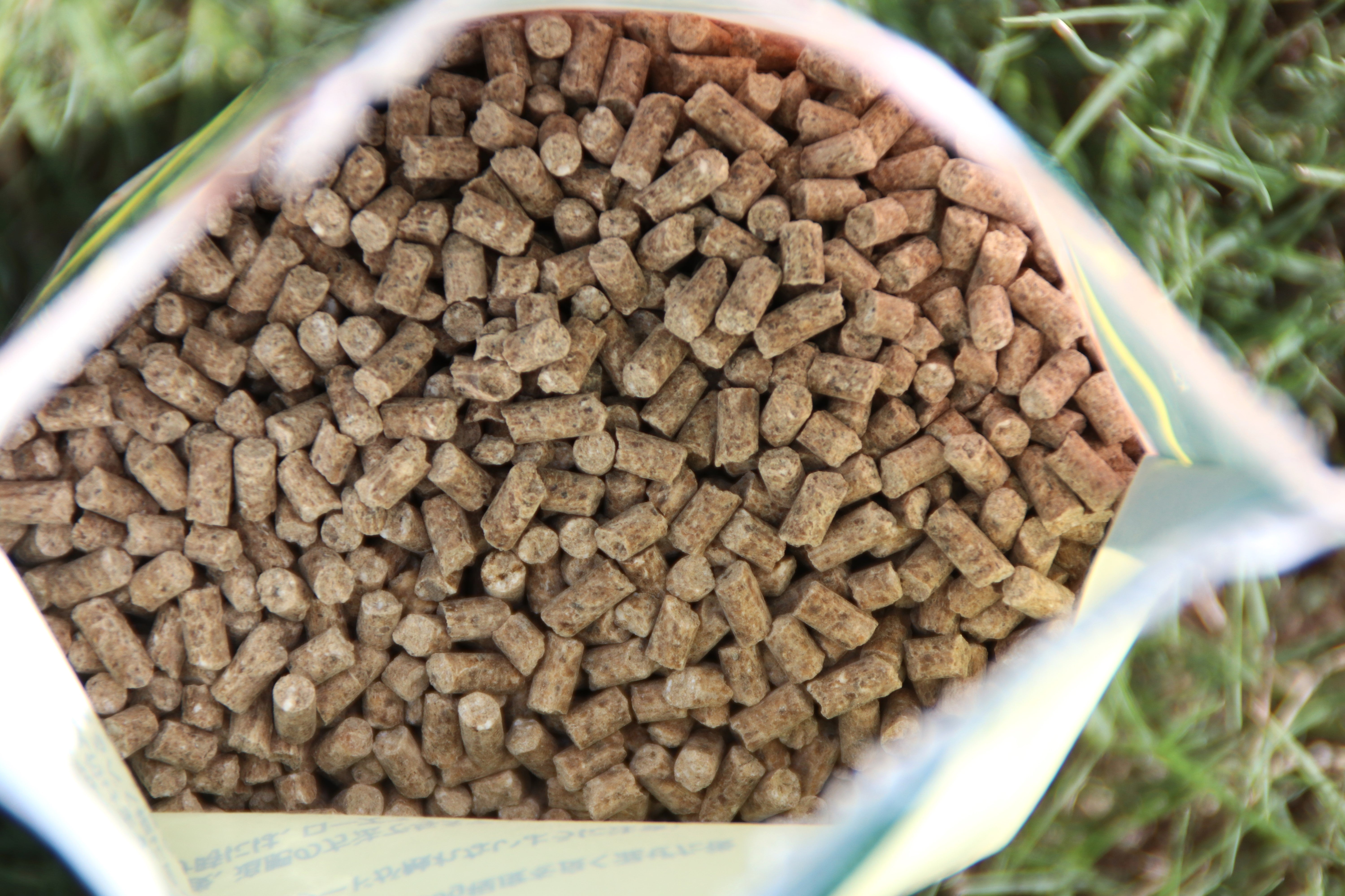 デビッド・オースチンの 「ローズフード1.6kg入り」 - David Austin