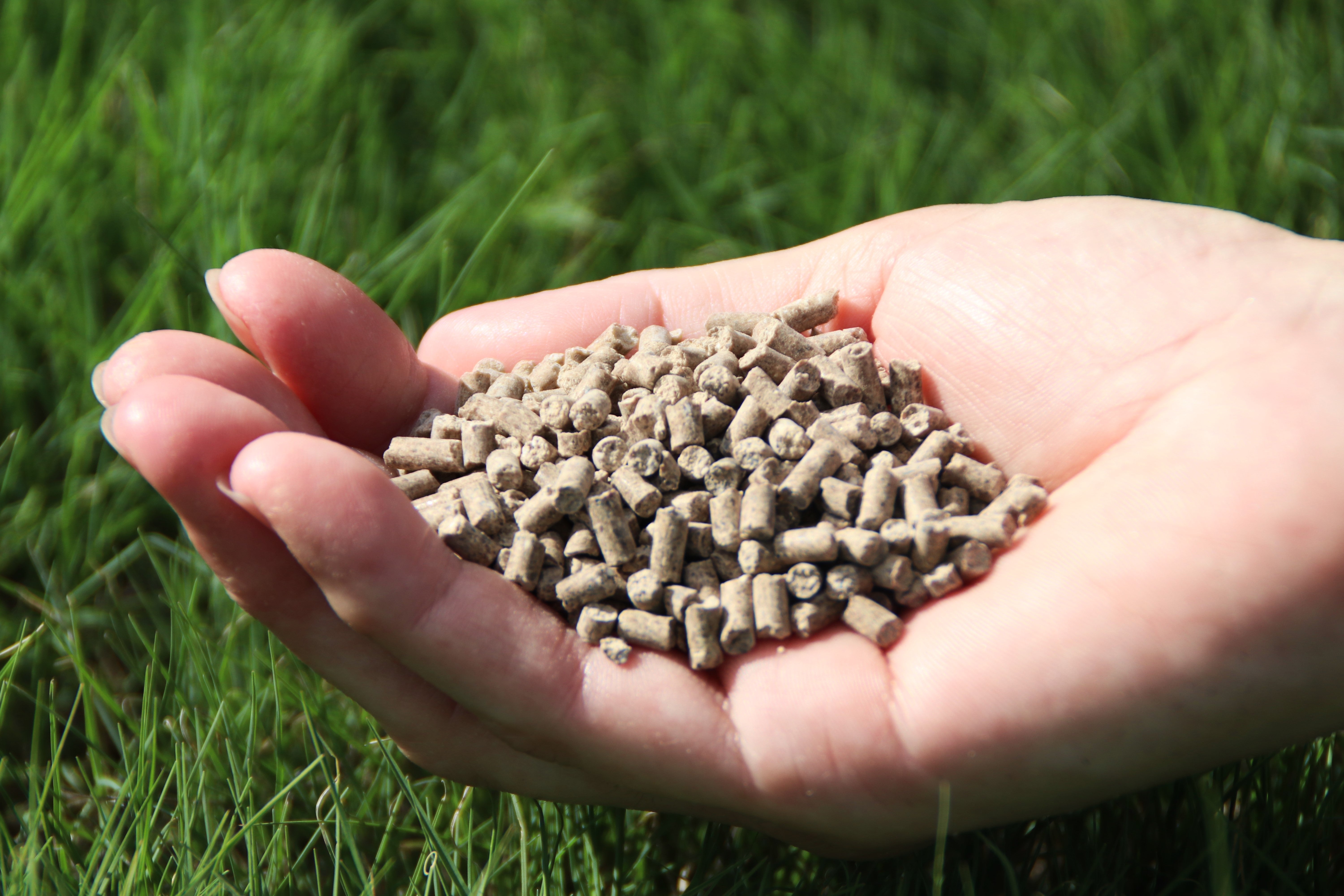 SILVER-ROSE / 薔薇  デモテープ SILVER-ROSE / 薔薇 デモテープ Yahoo!オークション -「silver-rose