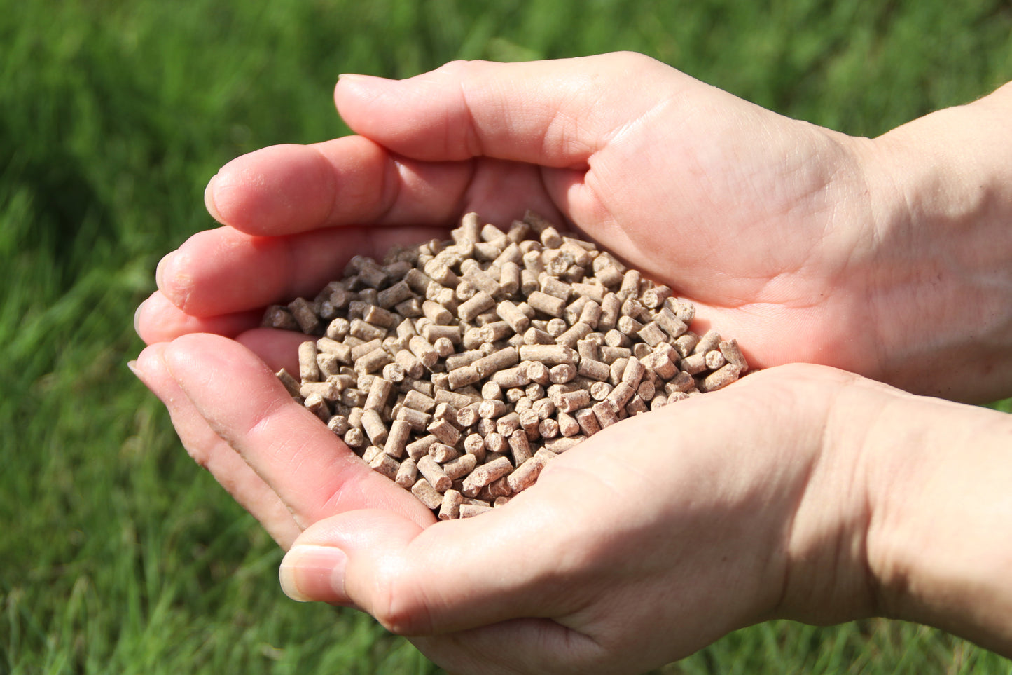 植え込み用キット - Rose Planting Kit