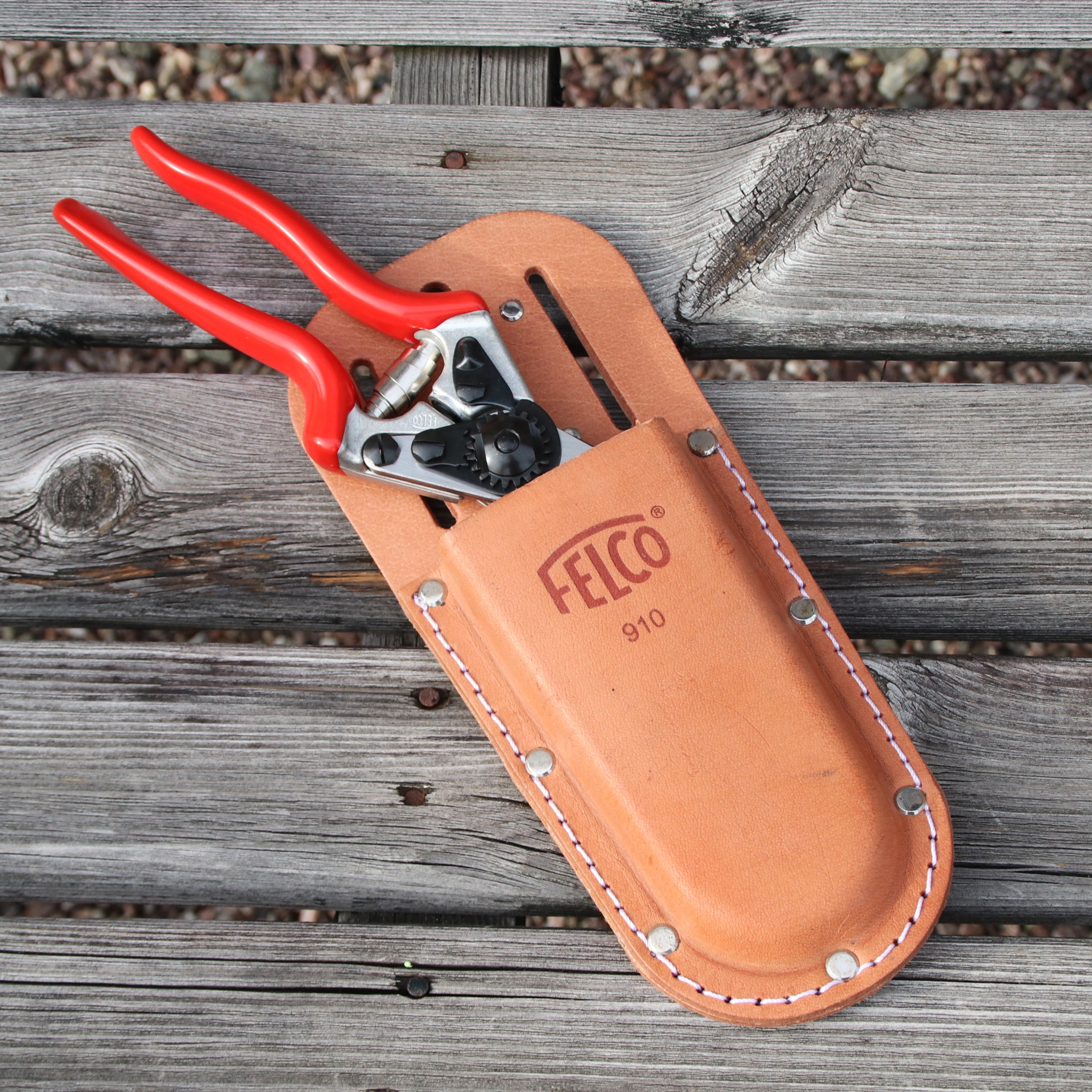 デビッド・オースチンイングリッシュローズクラブ 1年間 (SET A