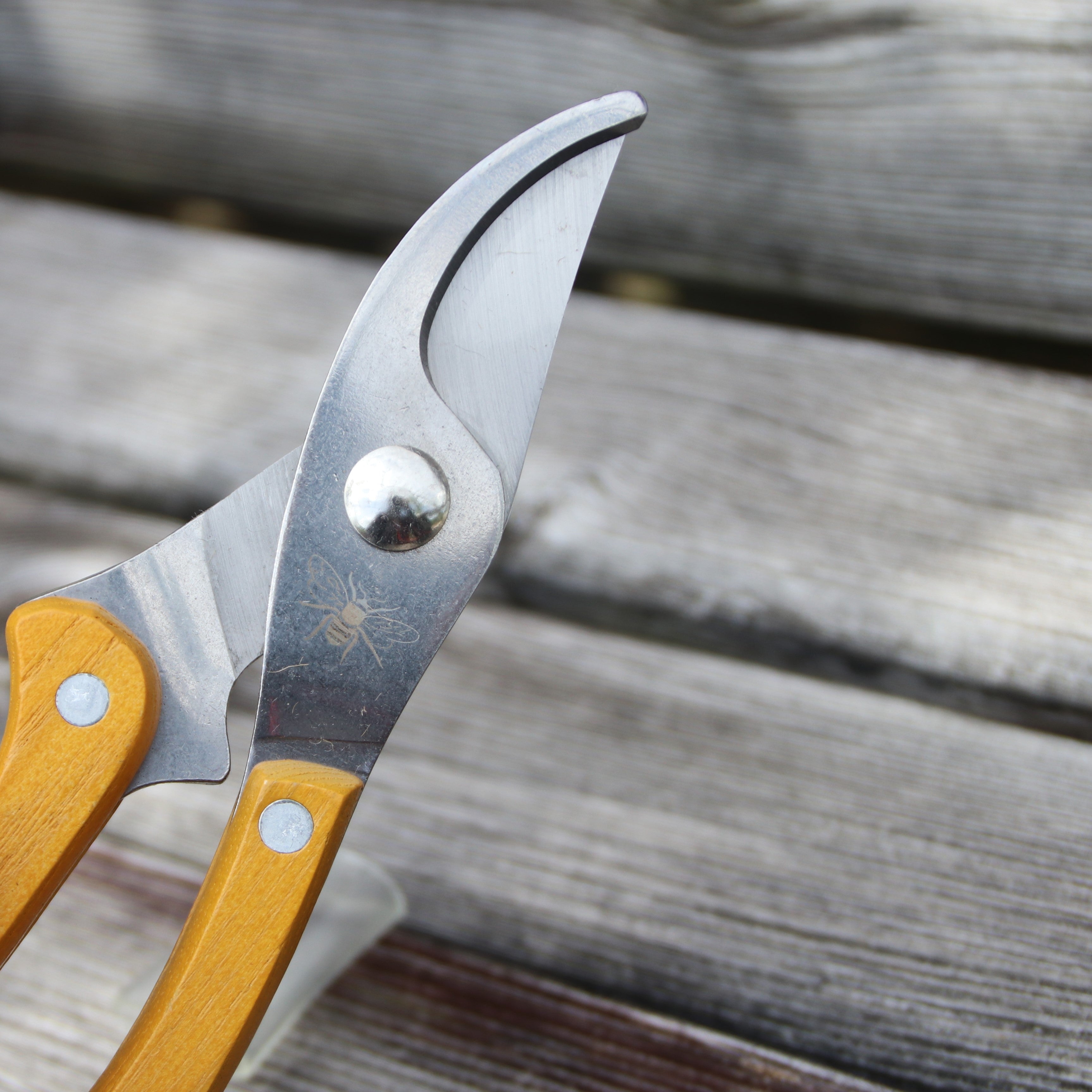 ミツバチの剪定鋏・ホルダーセット - Bees Garden Set Secateurs