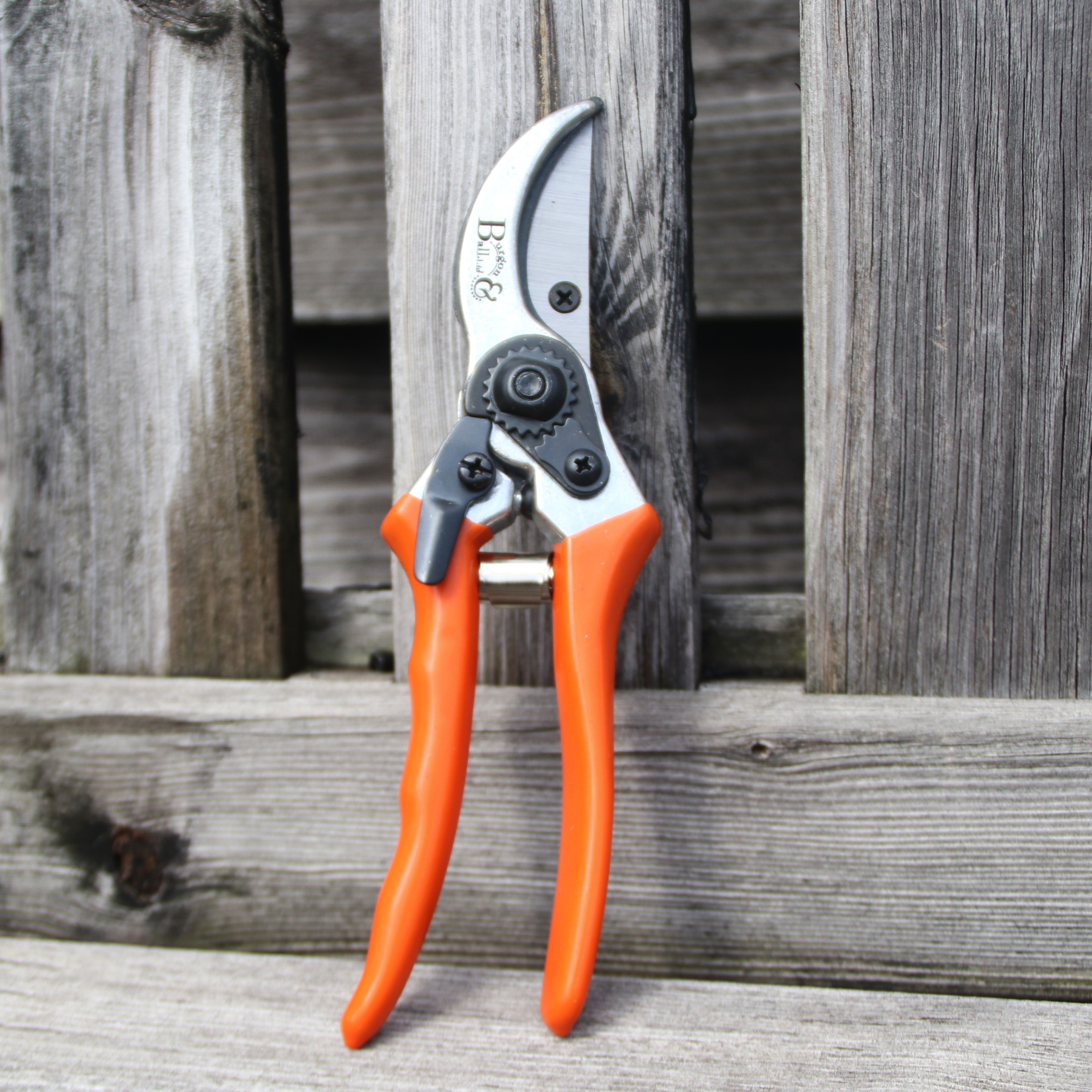 Burgon＆Ball社 剪定鋏 はさみ 替刃付 オレンジ - Rhs bypass secateur