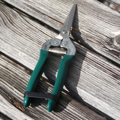 Burgon＆Ball社 フルーツ＆フラワーはさみ - Fruit and Flower Snip