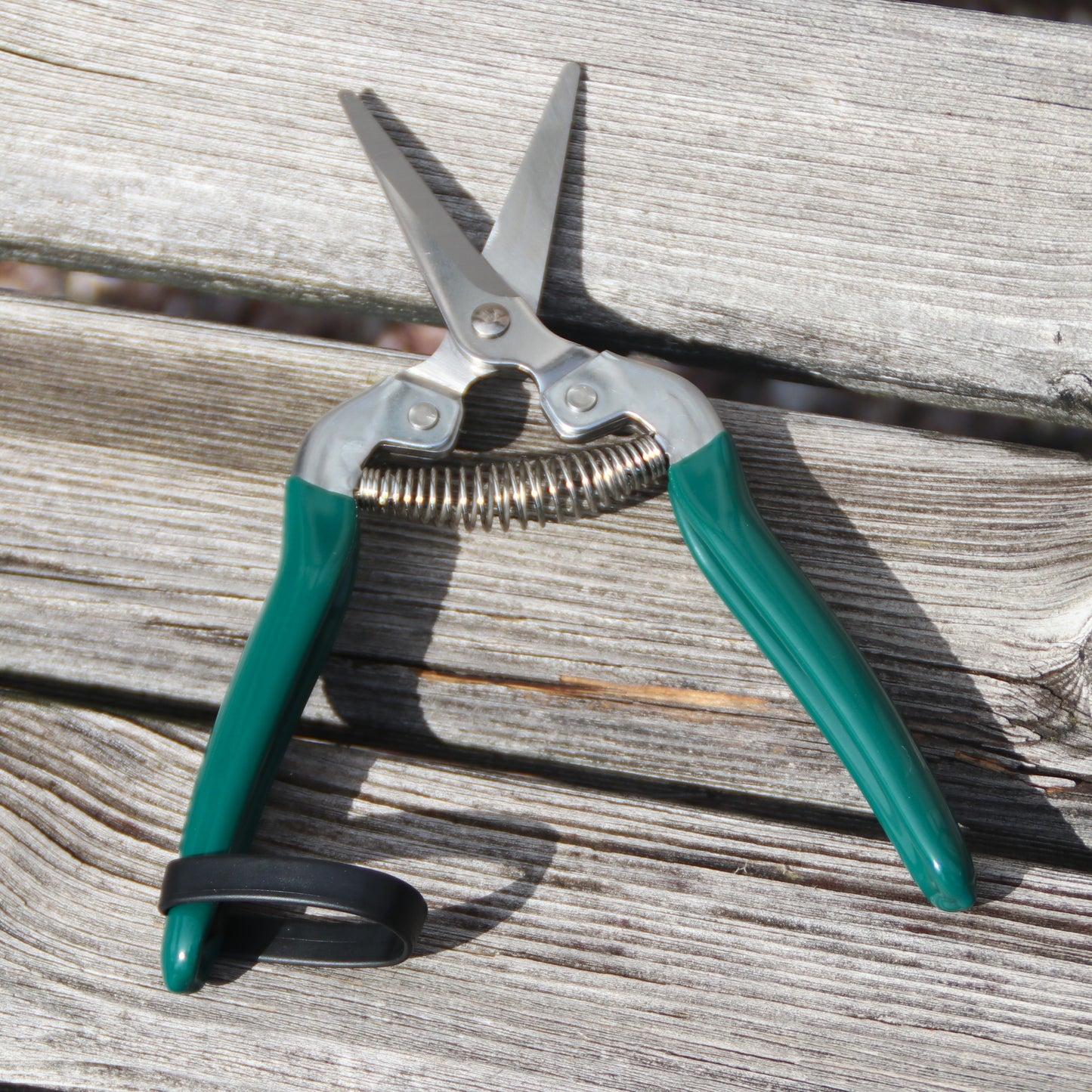 Burgon＆Ball社 フルーツ＆フラワーはさみ - Fruit and Flower Snip