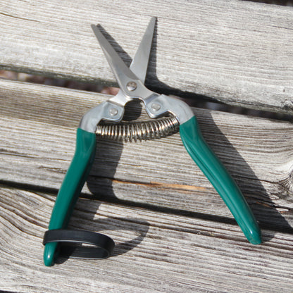 Burgon＆Ball社 フルーツ＆フラワーはさみ - Fruit and Flower Snip