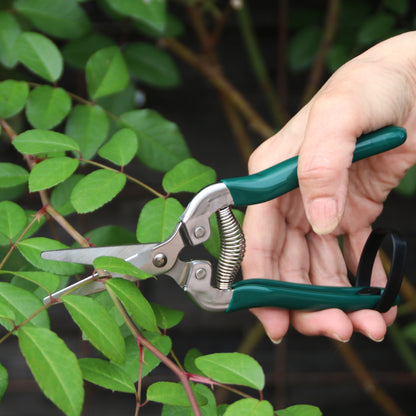 Burgon＆Ball社 フルーツ＆フラワーはさみ - Fruit and Flower Snip