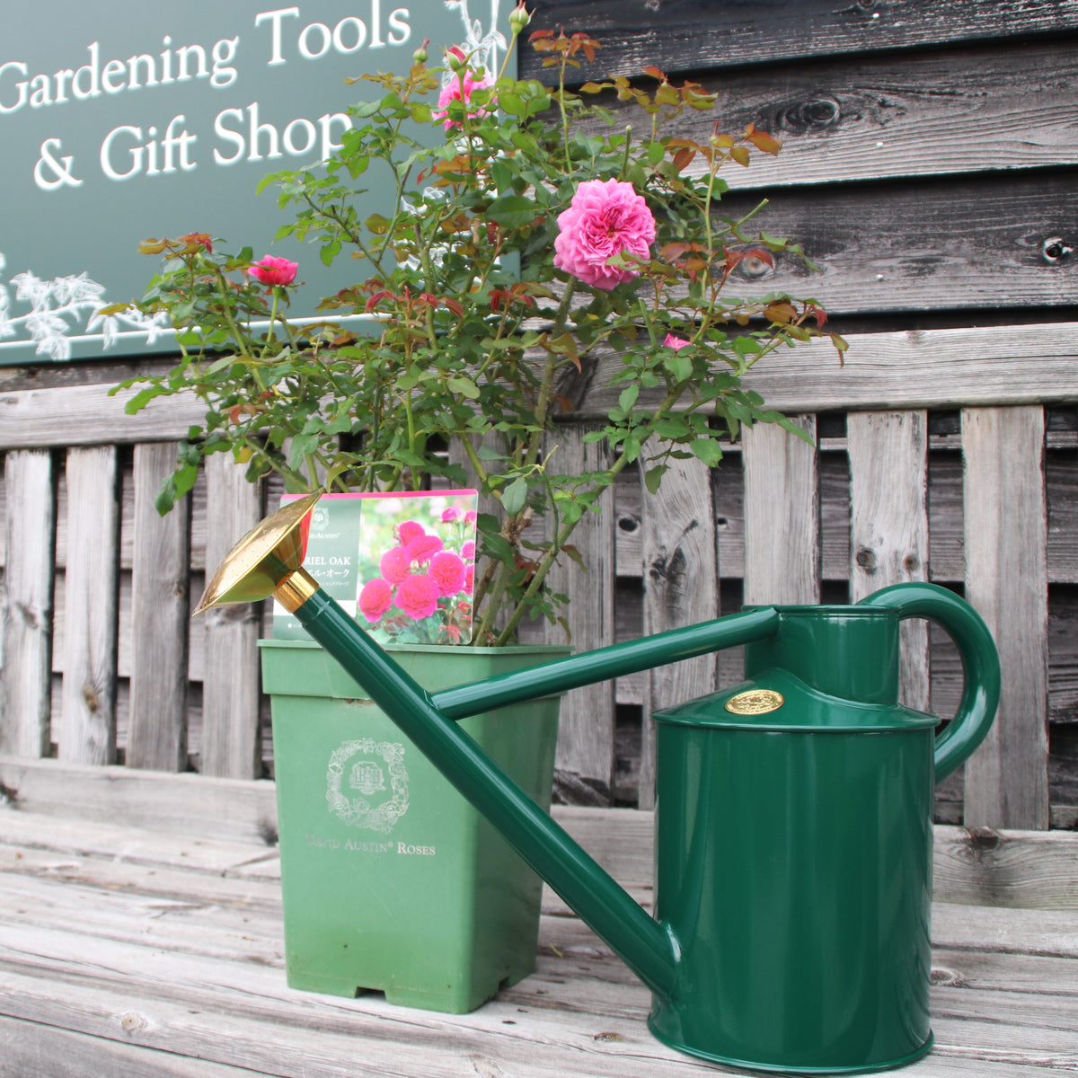 HAWS」の4.5Lじょうろ - WATERING CAN 4.5 LITRE – David Austin Roses 
