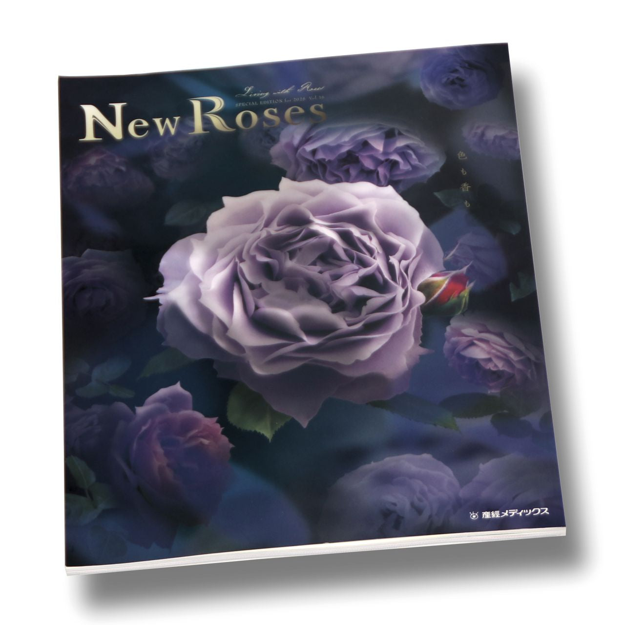 New Roses 2025 vol.36