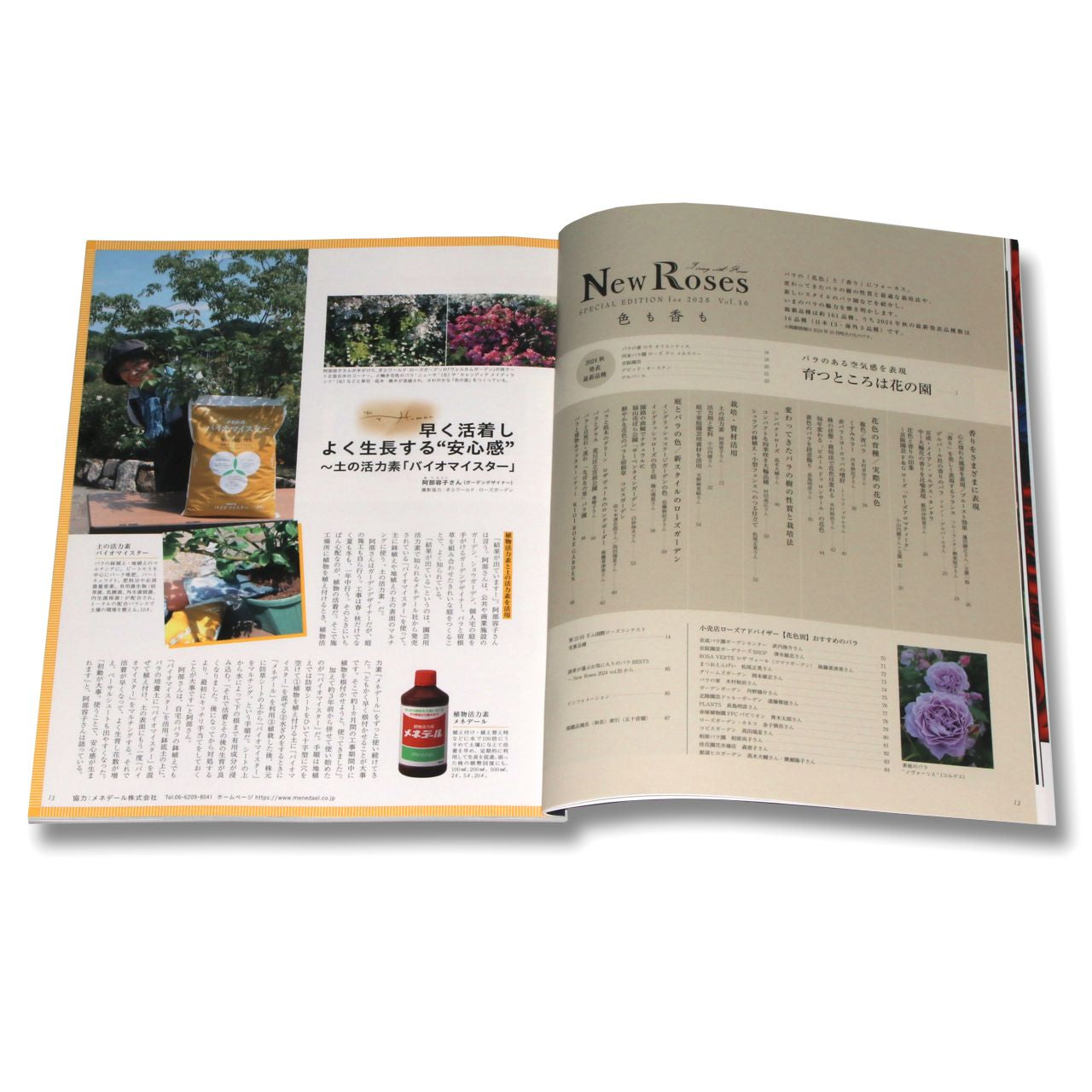 New Roses 2025 vol.36