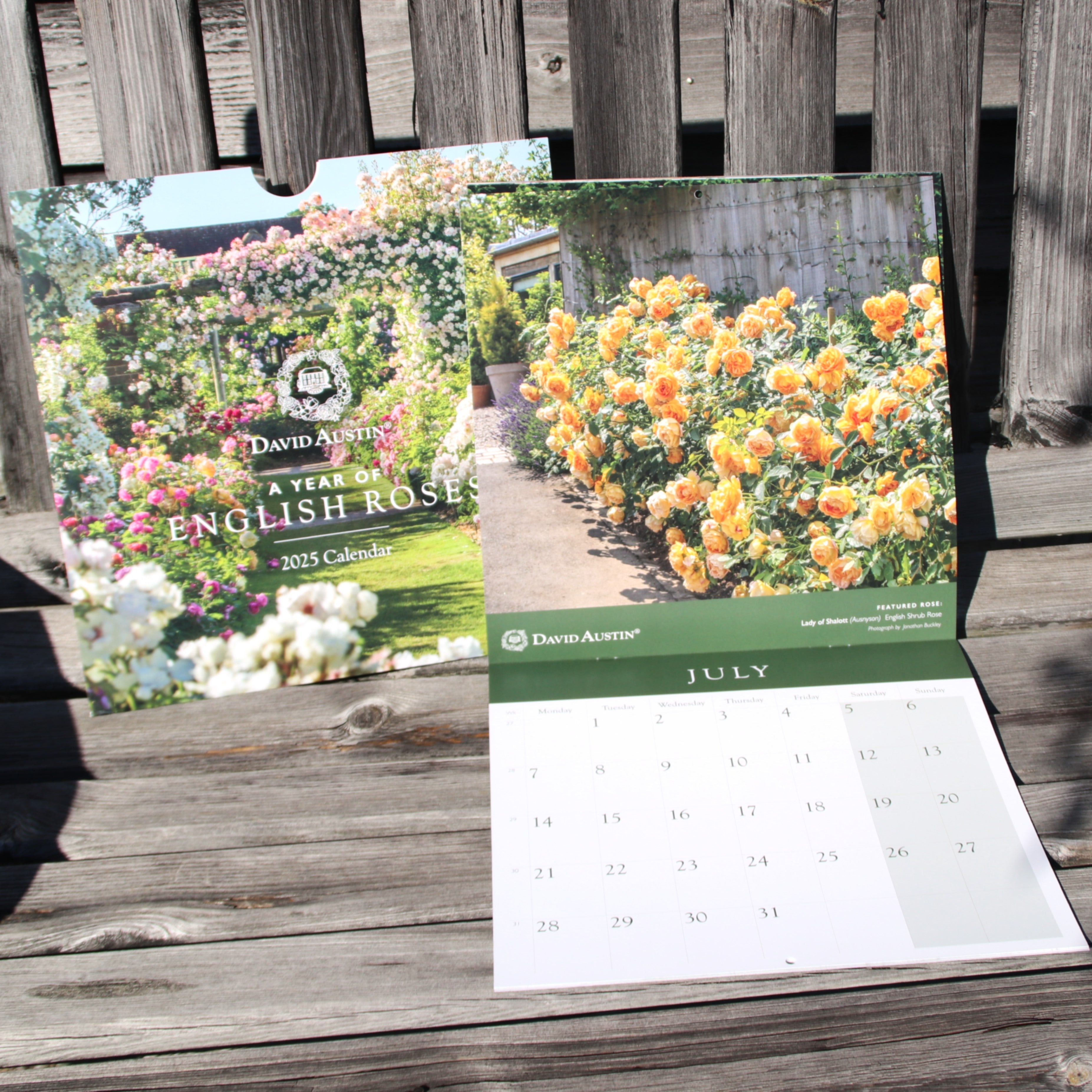 イングリッシュローズ・カレンダー 2025 - Wall Calendar 2025 – David