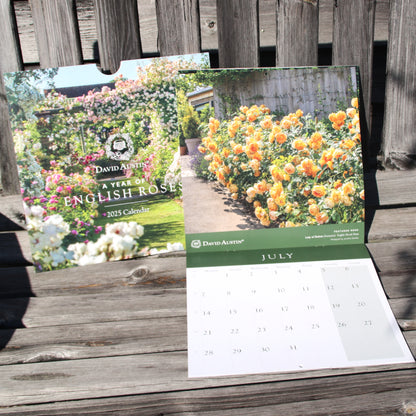 イングリッシュローズ・カレンダー 2025 - Wall Calendar 2025