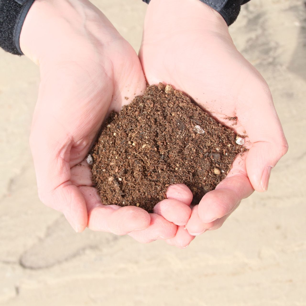 デビッド・オースチン・ロージズ オリジナルソイル 20L - David Austin Roses Original Soil 20L