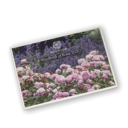 デビッド・オースチン 無料カタログ「THE ENGLISH ROSE COLLECTION」- Rose Catalog