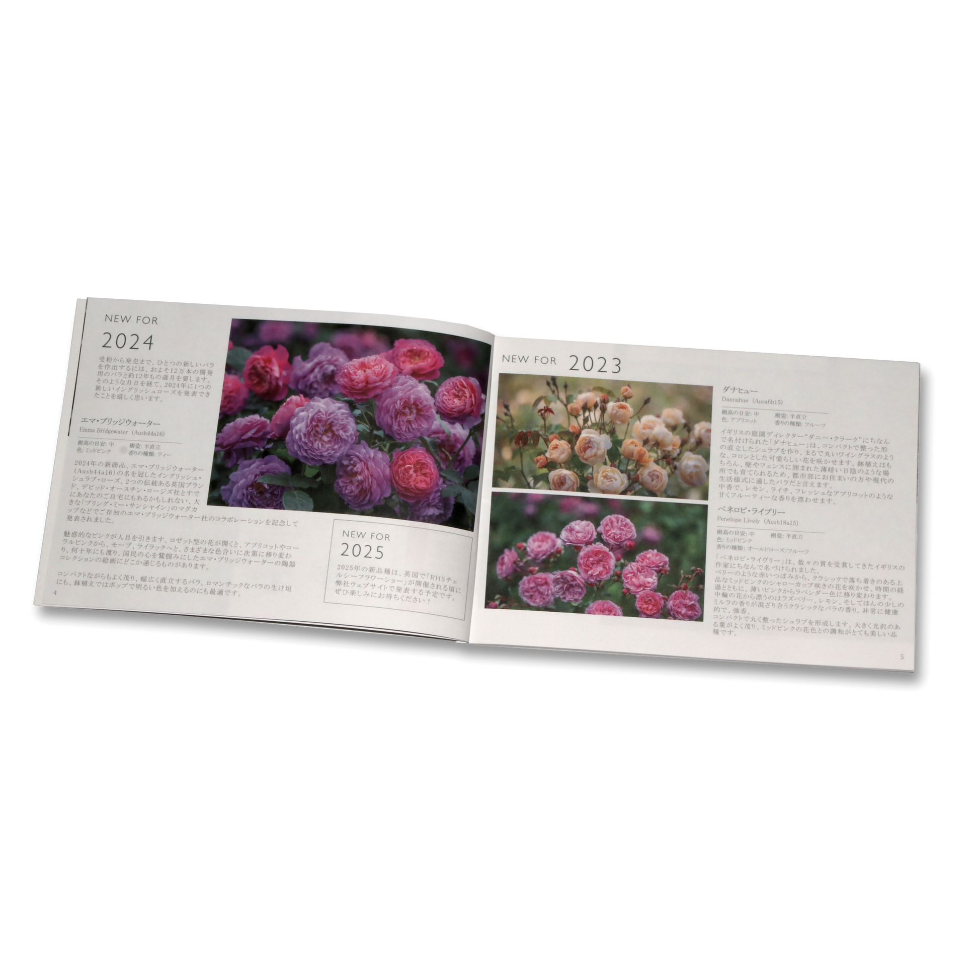 デビッド・オースチン 無料カタログ「THE ENGLISH ROSE COLLECTION デビッド・オースチン 無料カタログ「THE ENGLISH ROSE COLLECTION