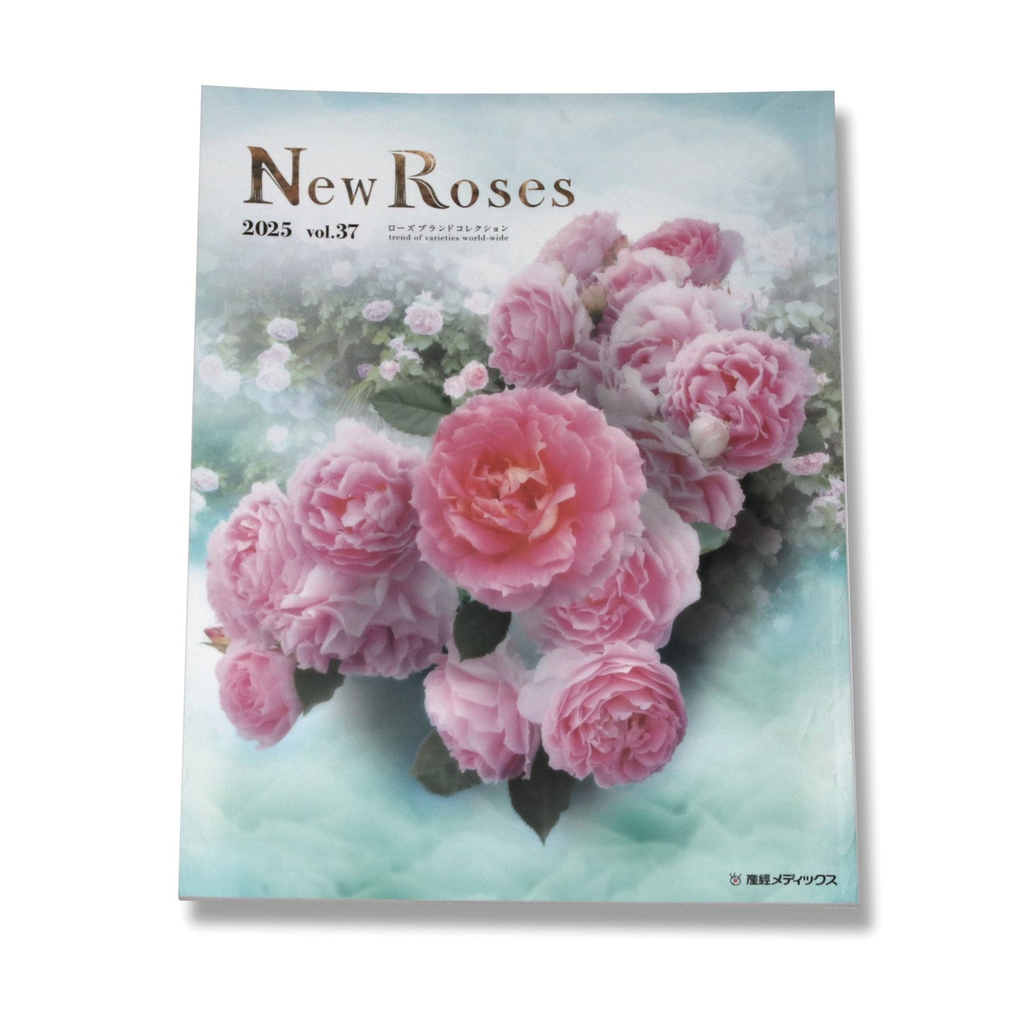 New Roses 2025 vol.37