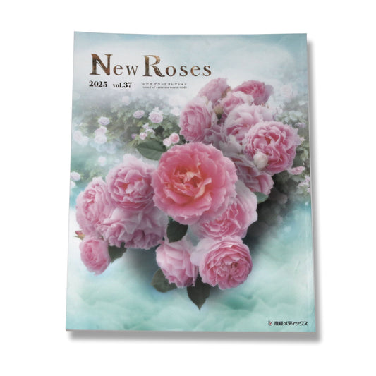 New Roses 2025 vol.37