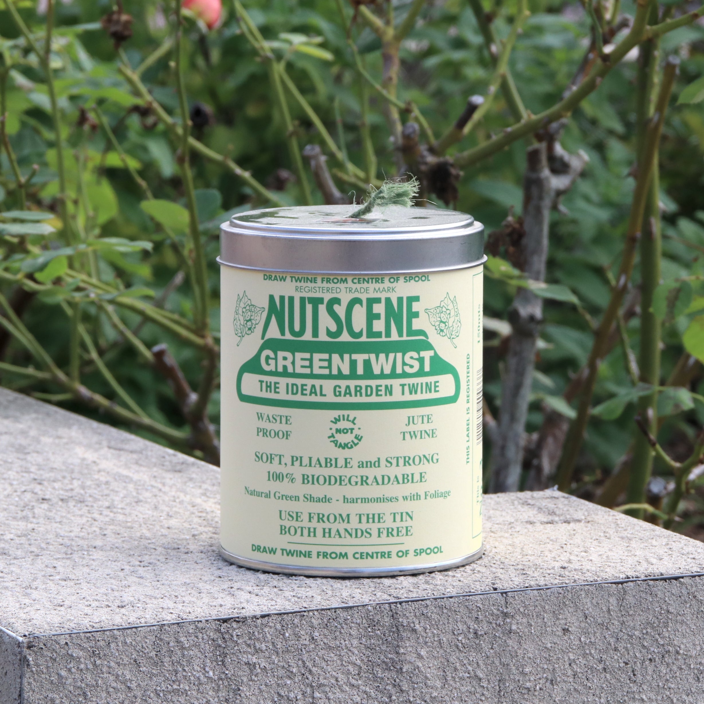 象徴的缶入り麻ひも（緑） - Iconic tin twine green – David Austin