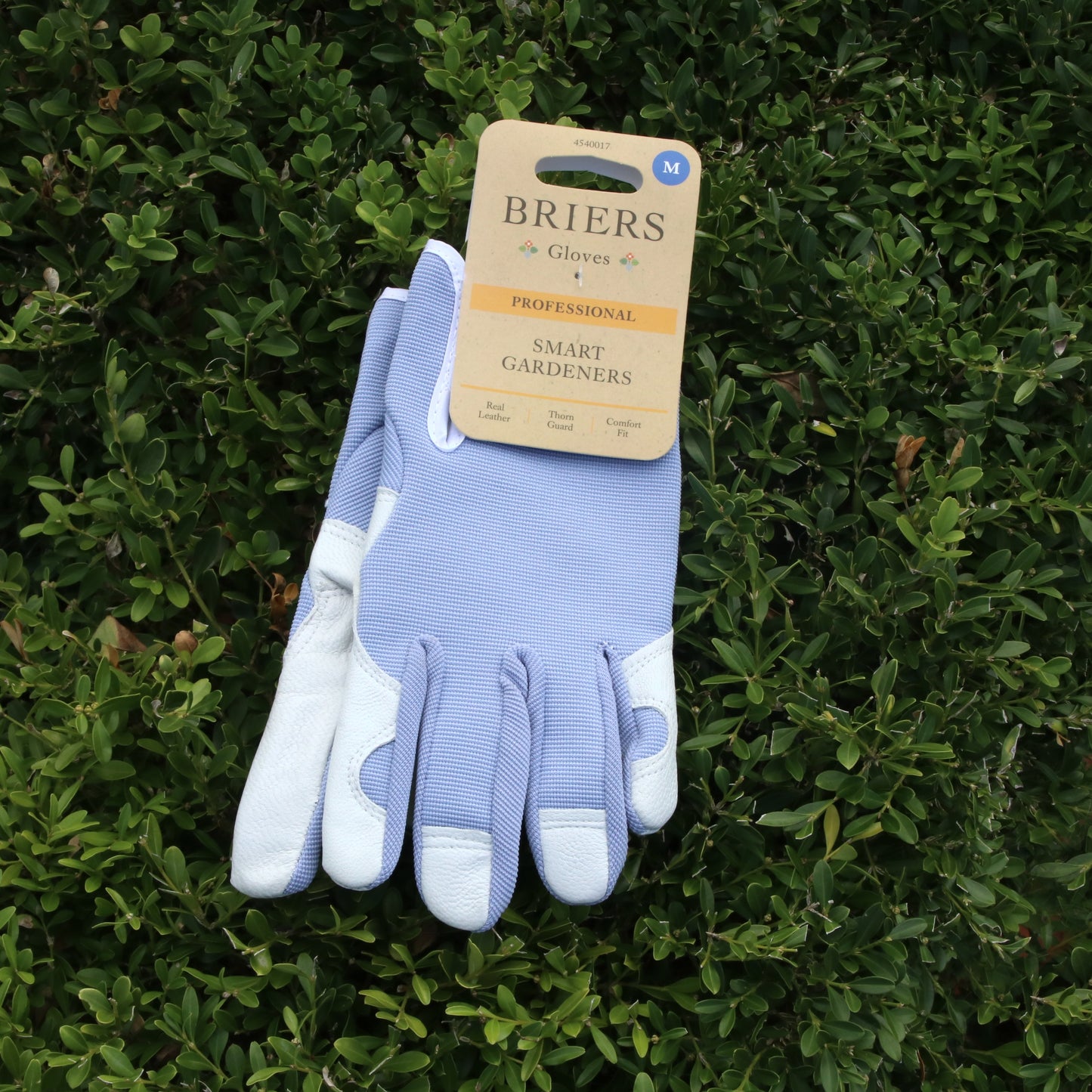 スマートガーデナーグローブ（ブルー）- Smart Gardener Glove Blue Medium