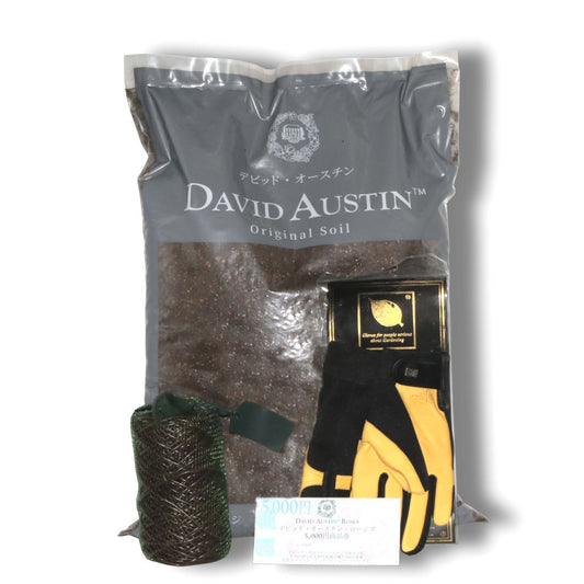 デビッド・オースチンイングリッシュローズクラブ 1年間(SET C) - David Austin English Rose Club Membership 1YR SET C