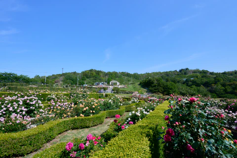 ビデオを読み込む: 