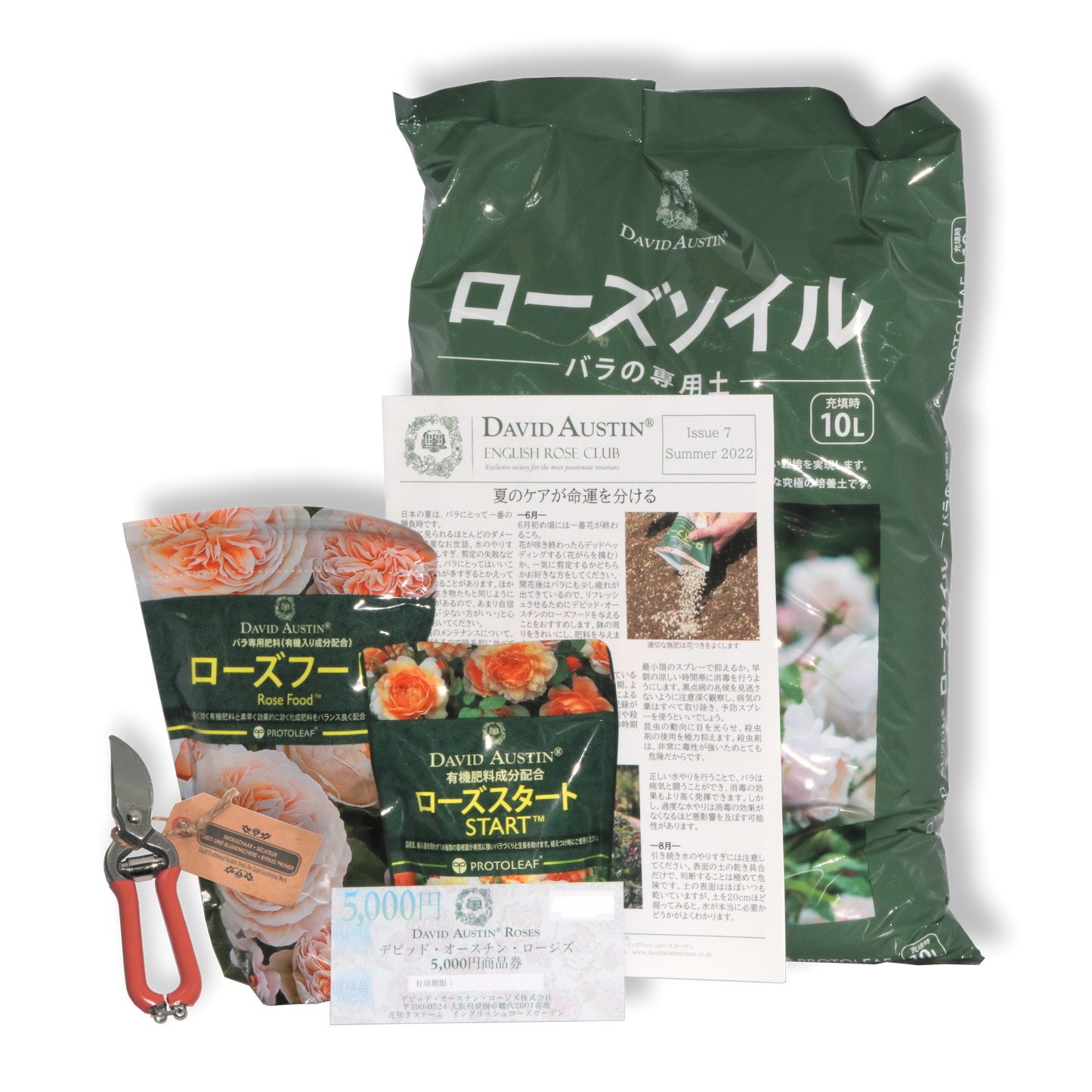 デビッド・オースチンイングリッシュローズクラブ 1年間（SET B/プランティングセット) - David Austin English Rose Club Membership 1YR SET B (Planting Set)