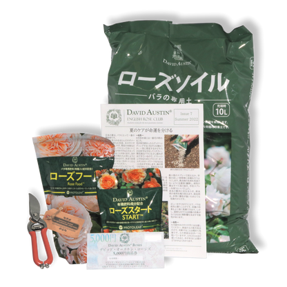 デビッド・オースチンイングリッシュローズクラブ 1年間（SET B/プランティングセット) - David Austin English Rose Club Membership 1YR SET B (Planting Set)