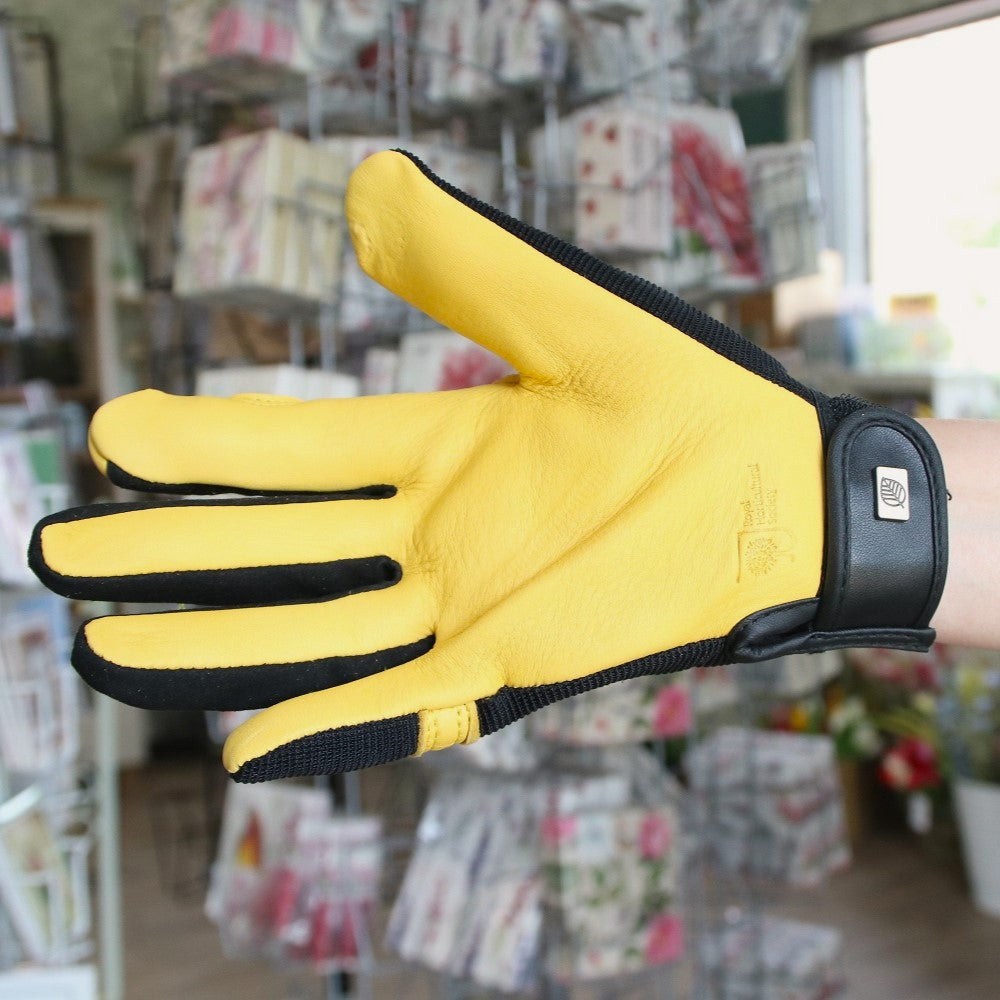 ジェイコ社 ソフトタッチグローブ(レディース) - Soft touch glove