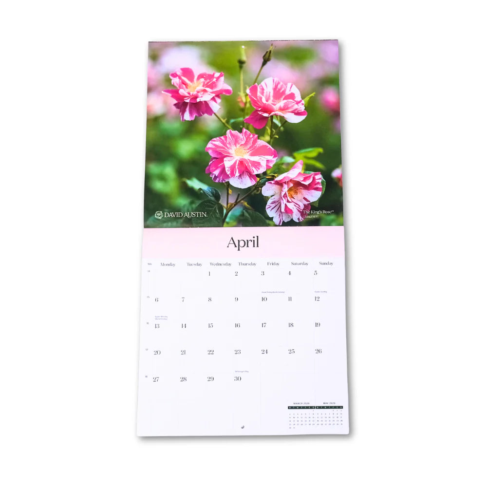 イングリッシュローズ・カレンダー 2026 - Wall Calendar 2026