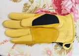 ジェイコ社 ウィンタータッチグローブ(レディース) - Winter touch glove ladies
